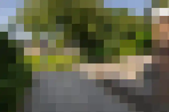 Laan van Sofia 47 Utrecht thumbnail 25
