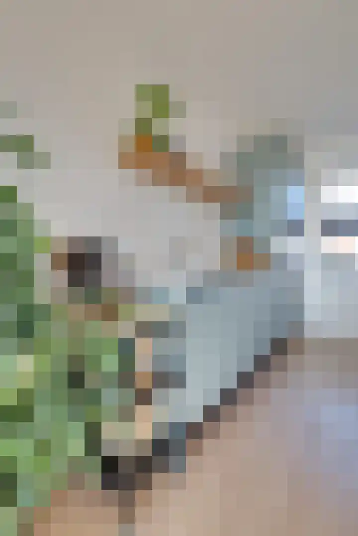 Laan van Sofia 47 Utrecht thumbnail 27