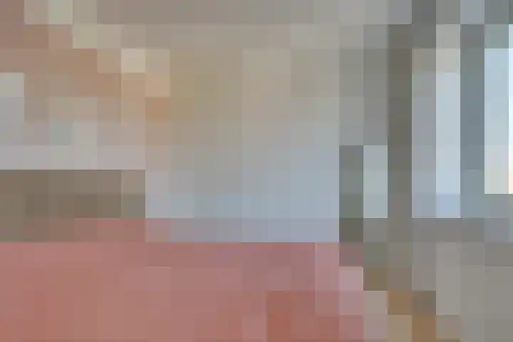 Laan van Sofia 47 Utrecht thumbnail 31
