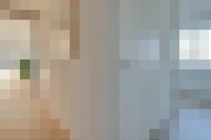 Laan van Sofia 47 Utrecht thumbnail 32