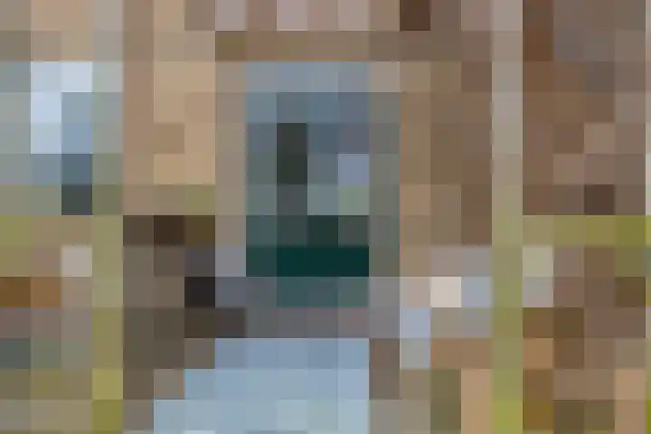 Laan van Sofia 47 Utrecht thumbnail 42
