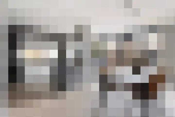 Laan van Sofia 47 Utrecht thumbnail 49
