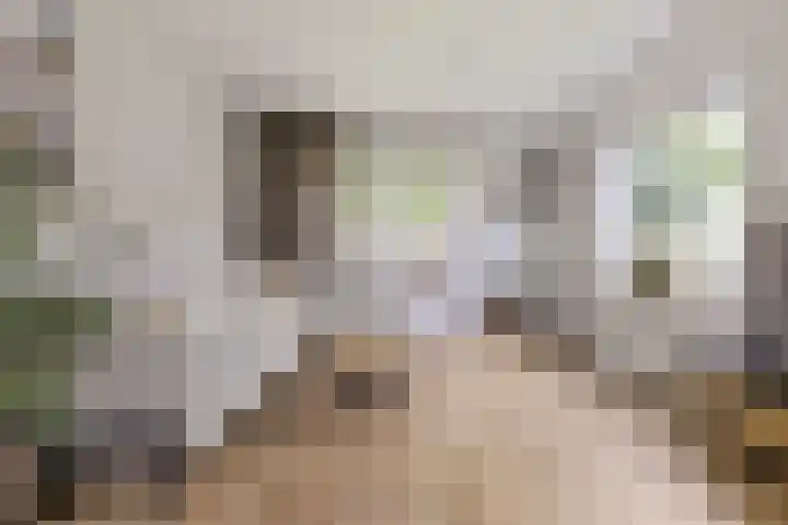 Laan van Sofia 47 Utrecht thumbnail 7