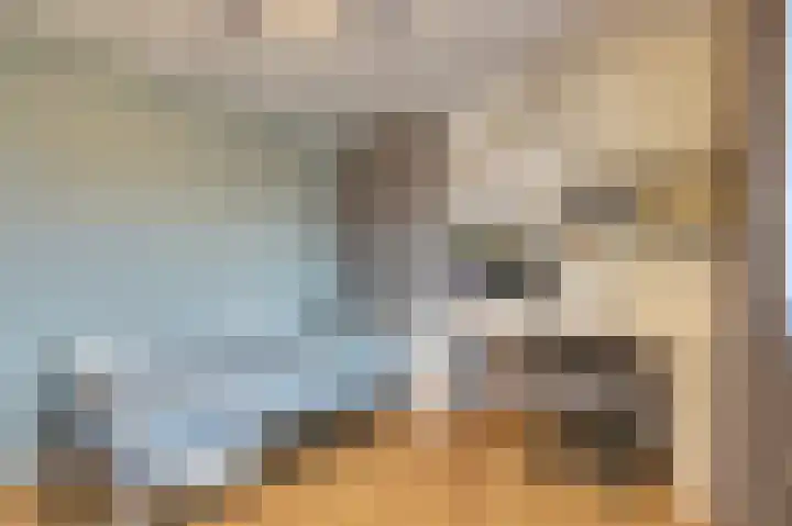 Laan van Sofia 47 Utrecht thumbnail 8