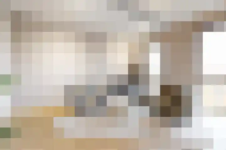 Laan van Sofia 58 Utrecht thumbnail 10
