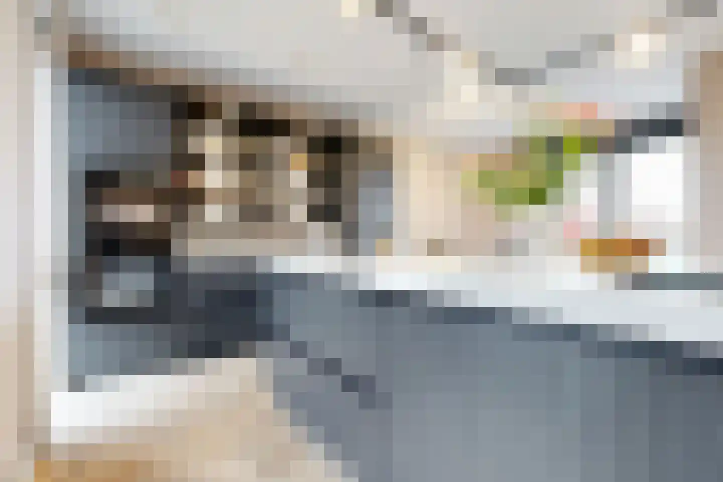 Laan van Sofia 58 Utrecht thumbnail 13