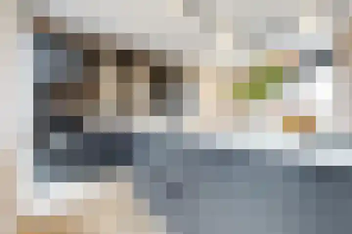 Laan van Sofia 58 Utrecht thumbnail 13