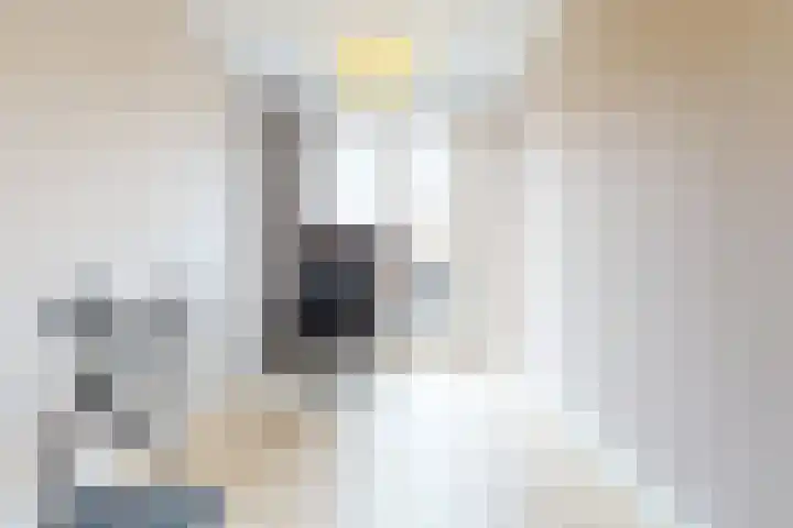 Laan van Sofia 58 Utrecht thumbnail 20