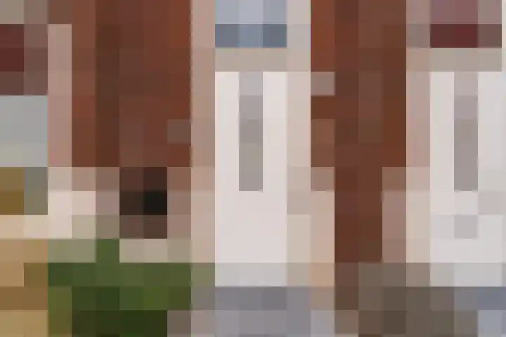 Laan van Sofia 58 Utrecht thumbnail 25