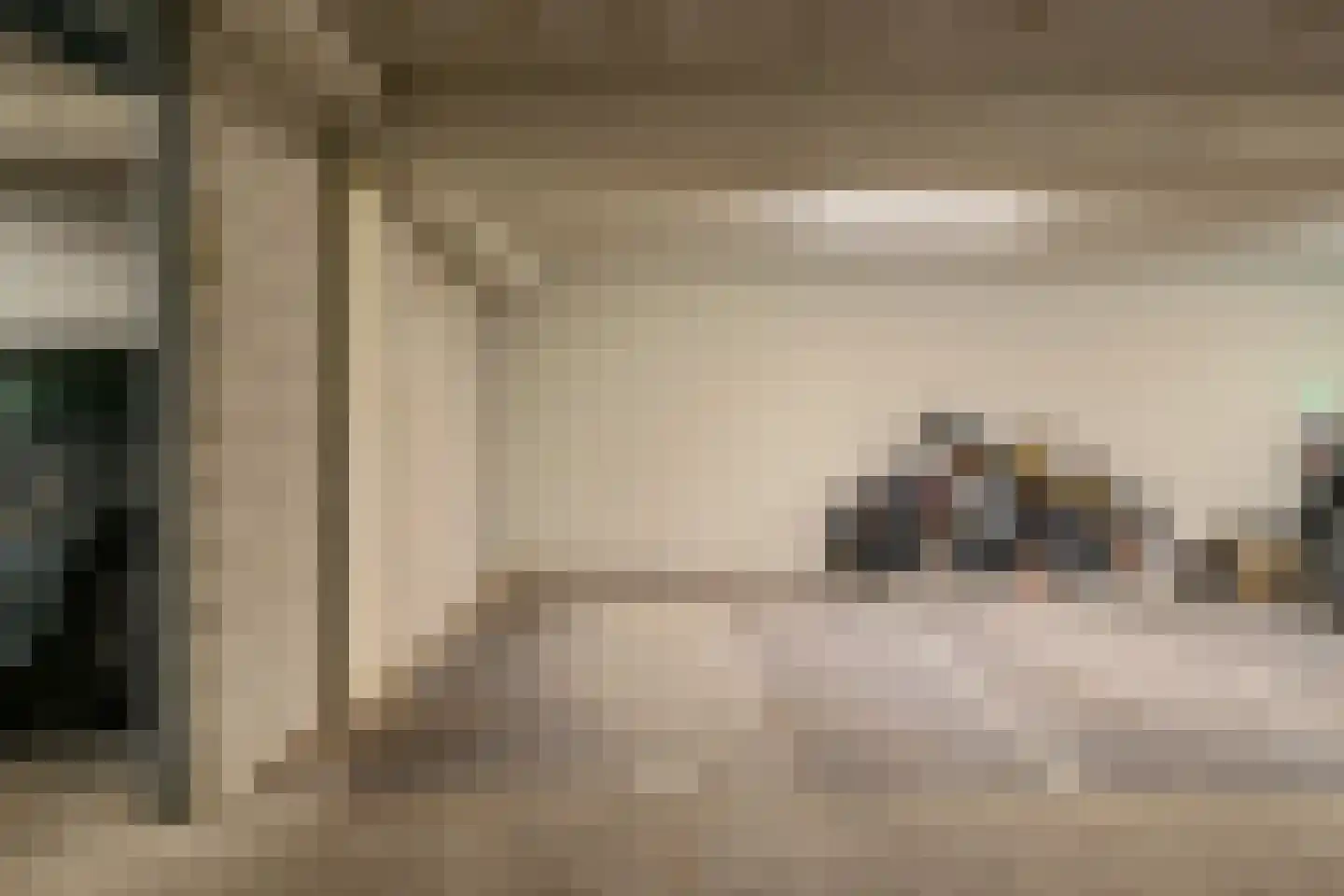 Laan van Sofia 58 Utrecht thumbnail 30