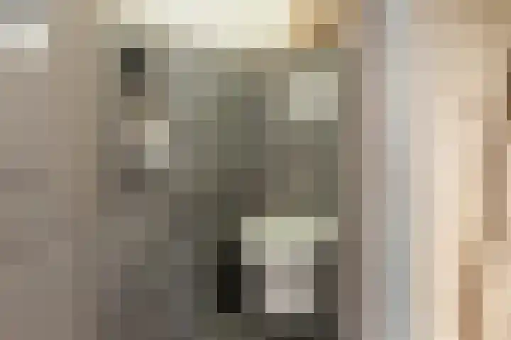 Laan van Sofia 58 Utrecht thumbnail 31