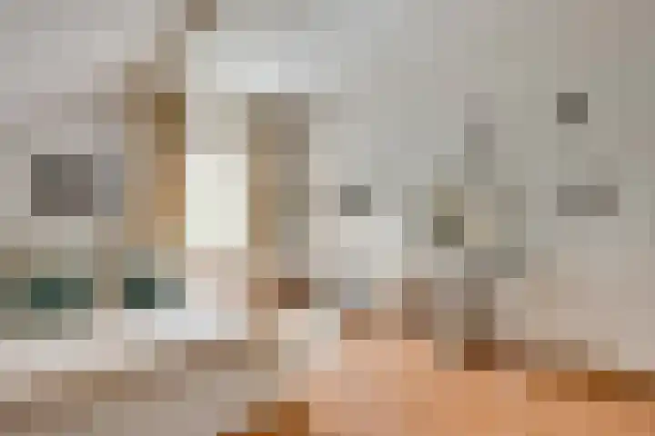 Laan van Sofia 58 Utrecht thumbnail 33
