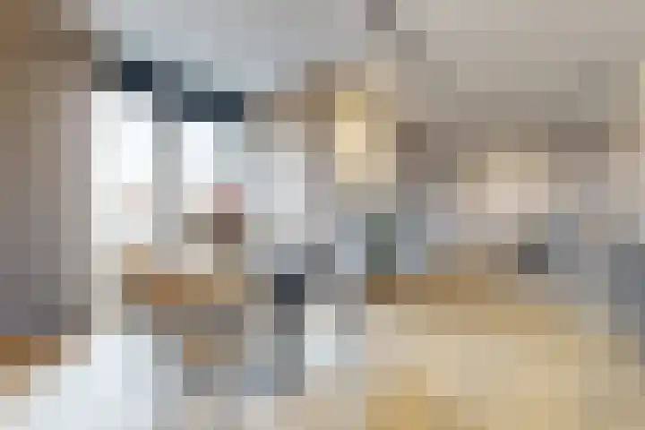Laan van Sofia 58 Utrecht thumbnail 6