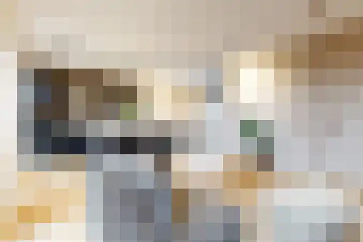 Laan van Sofia 58 Utrecht thumbnail 7