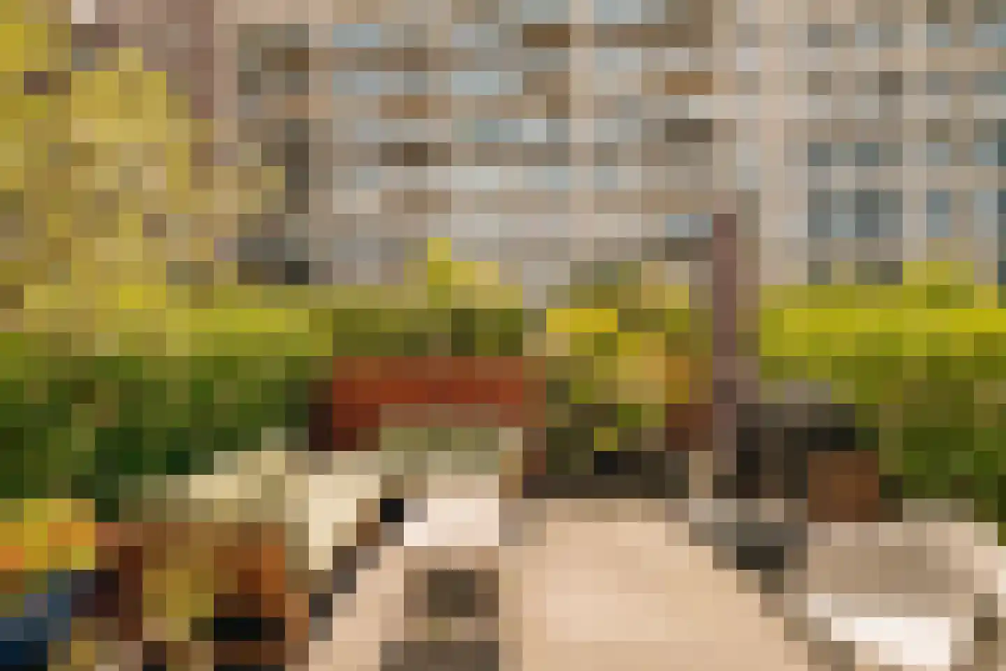 Laan van Spartaan 32 Amsterdam thumbnail 12