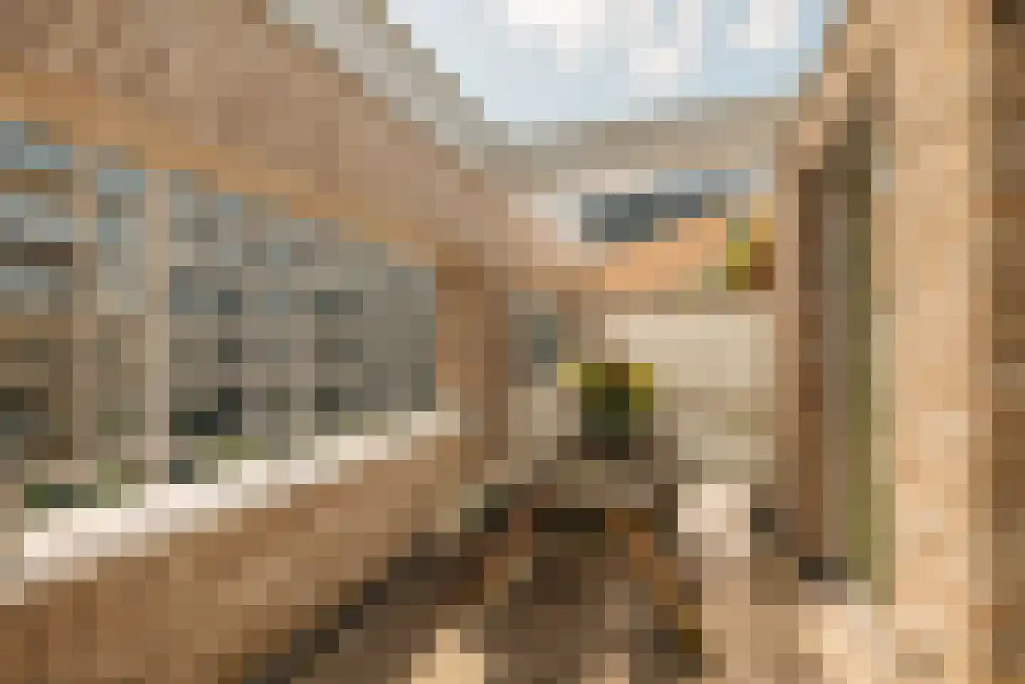 Laan van Spartaan 32 Amsterdam thumbnail 24
