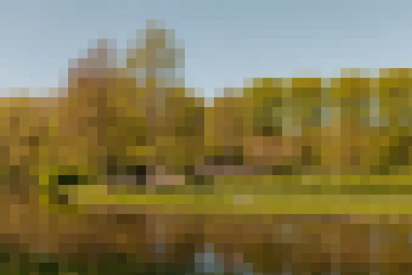 Laan van Spartaan 32 Amsterdam thumbnail 35