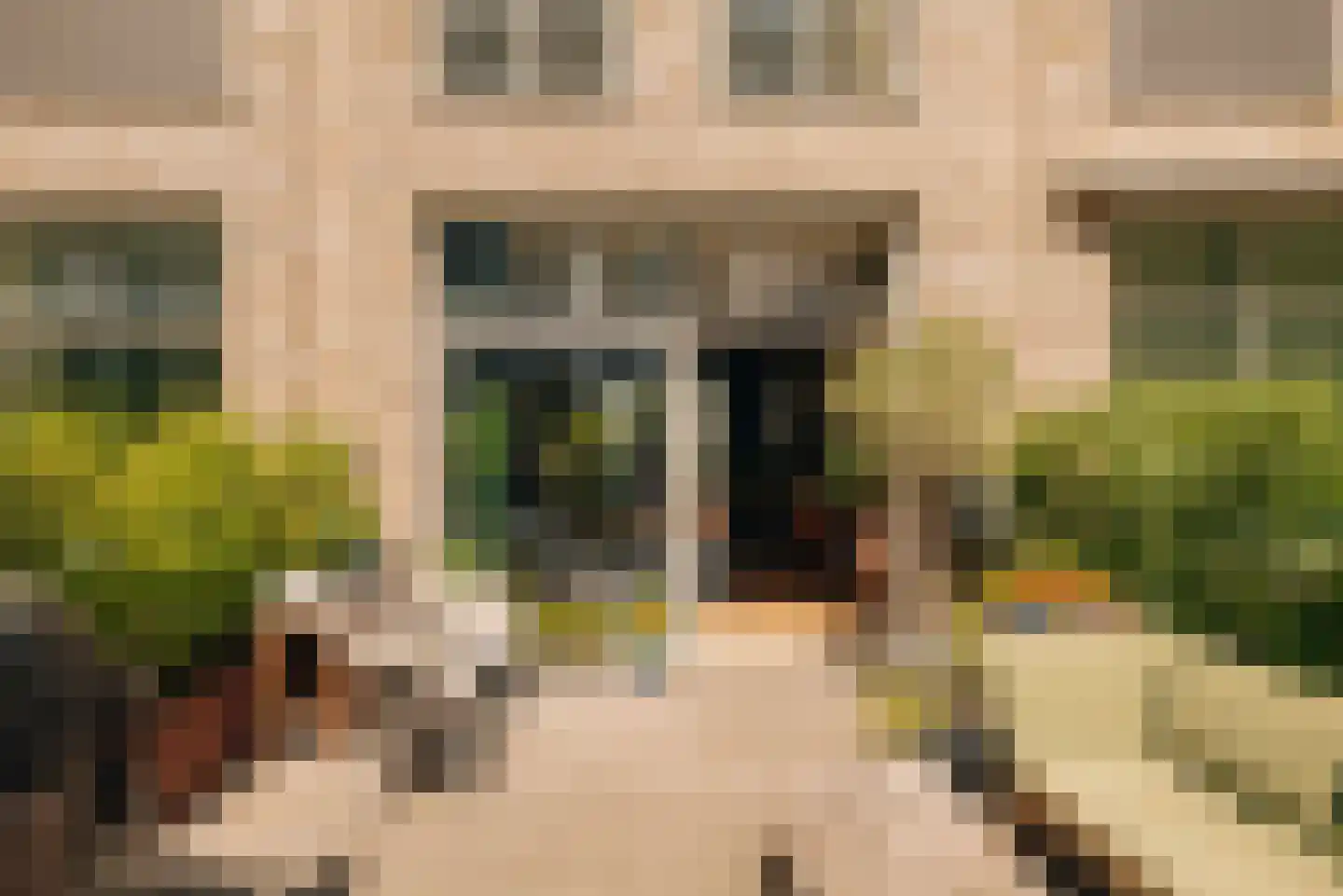 Laan van Spartaan 32 Amsterdam thumbnail 5