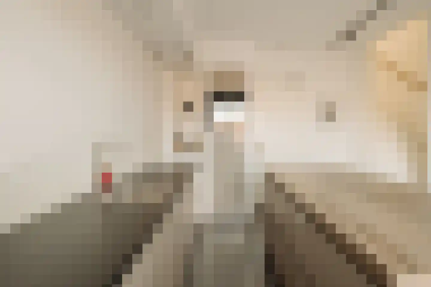 Laan van Spartaan 32 Amsterdam thumbnail 9