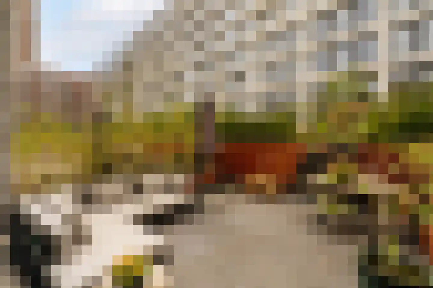 Laan van Spartaan 54 Amsterdam thumbnail 12