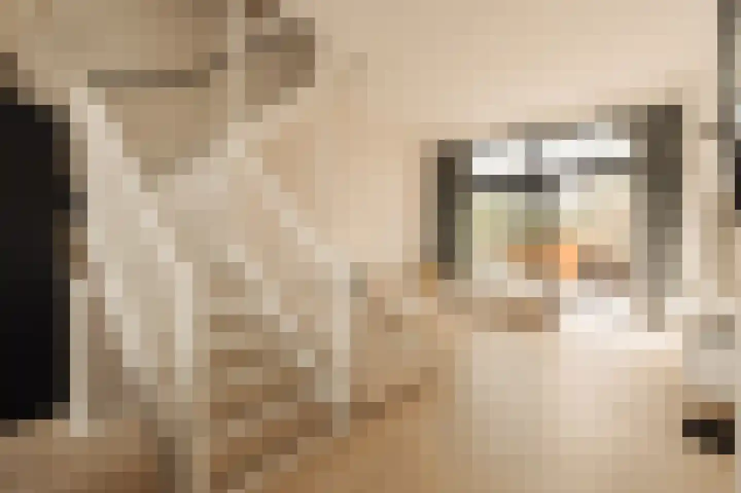 Laan van Spartaan 54 Amsterdam thumbnail 13