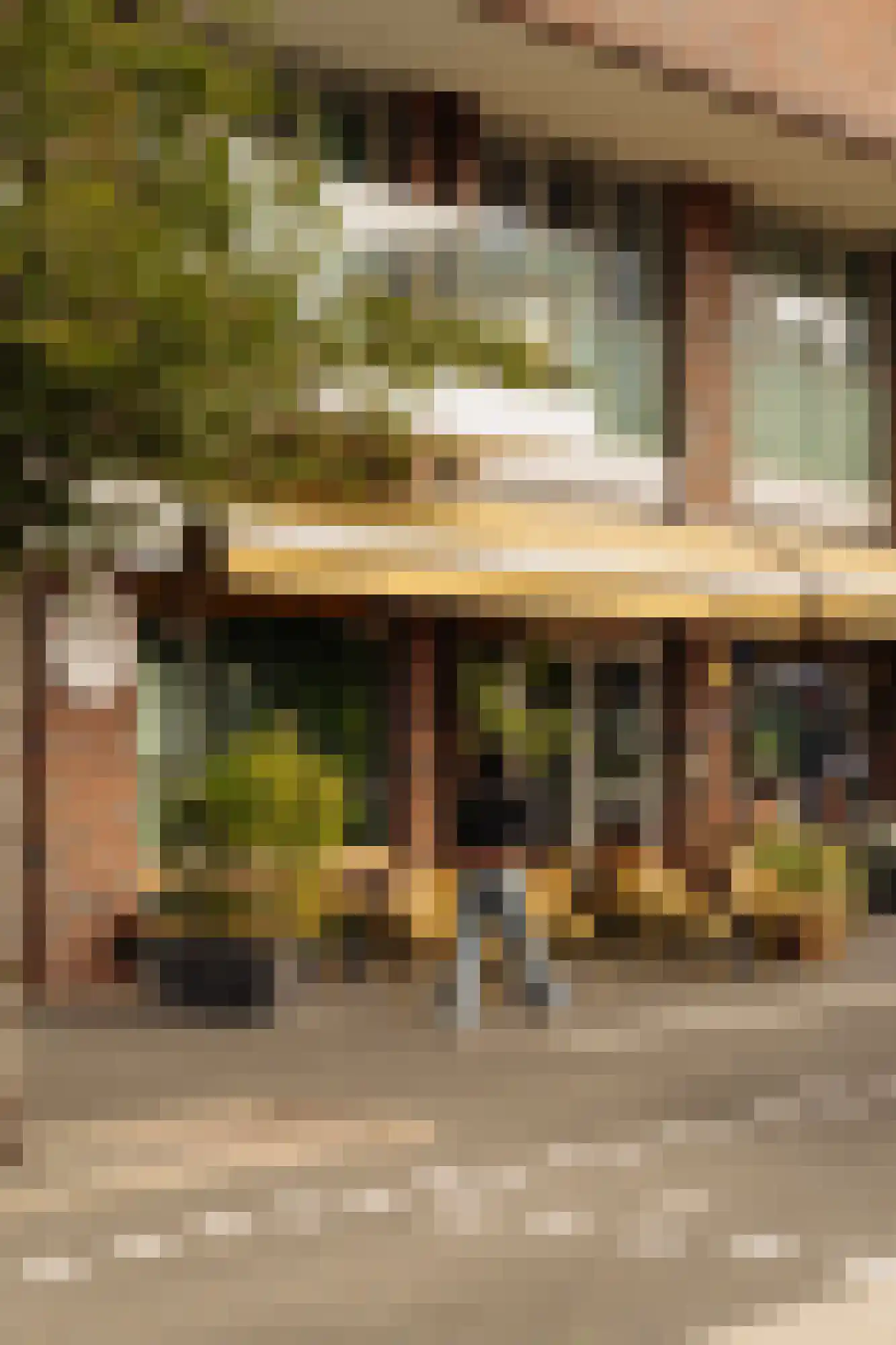 Laan van Spartaan 54 Amsterdam thumbnail 33