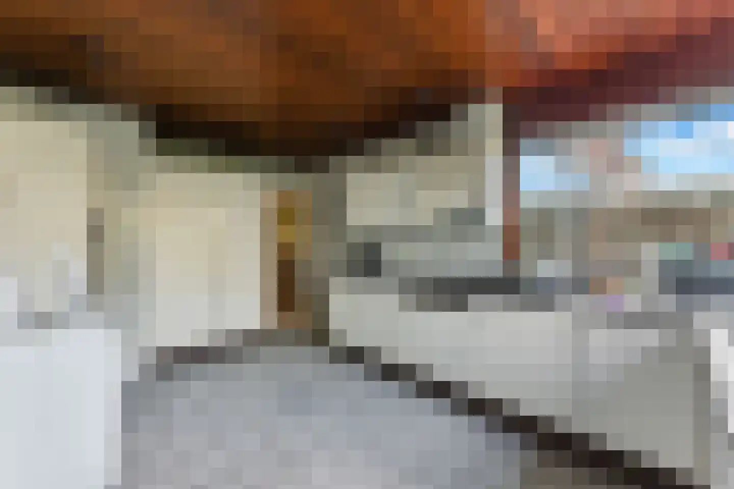 Laan van Spieringshoek 2 Schiedam thumbnail 11