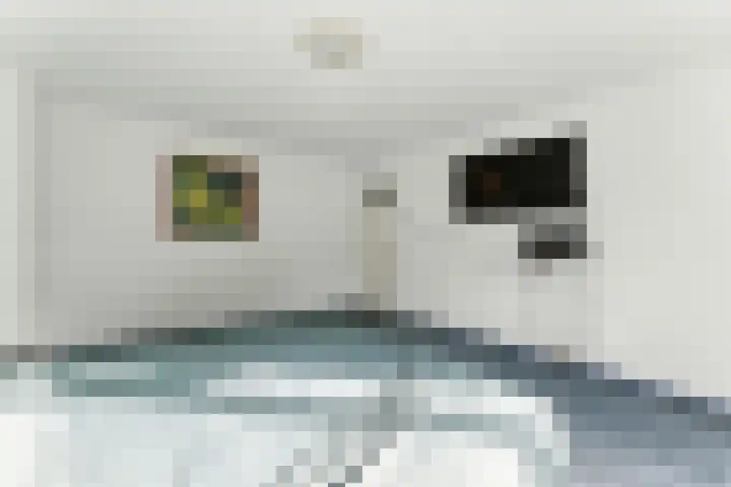 Laan van Spieringshoek 2 Schiedam thumbnail 20