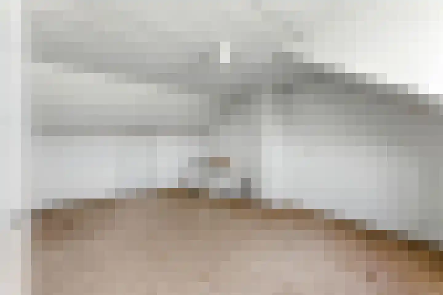 Laan van Spieringshoek 2 Schiedam thumbnail 33