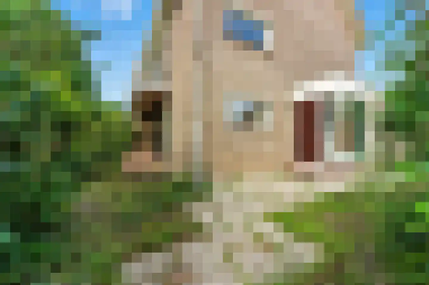 Laan van Spieringshoek 2 Schiedam thumbnail 37