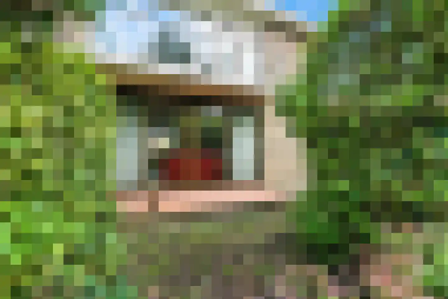 Laan van Spieringshoek 2 Schiedam thumbnail 38