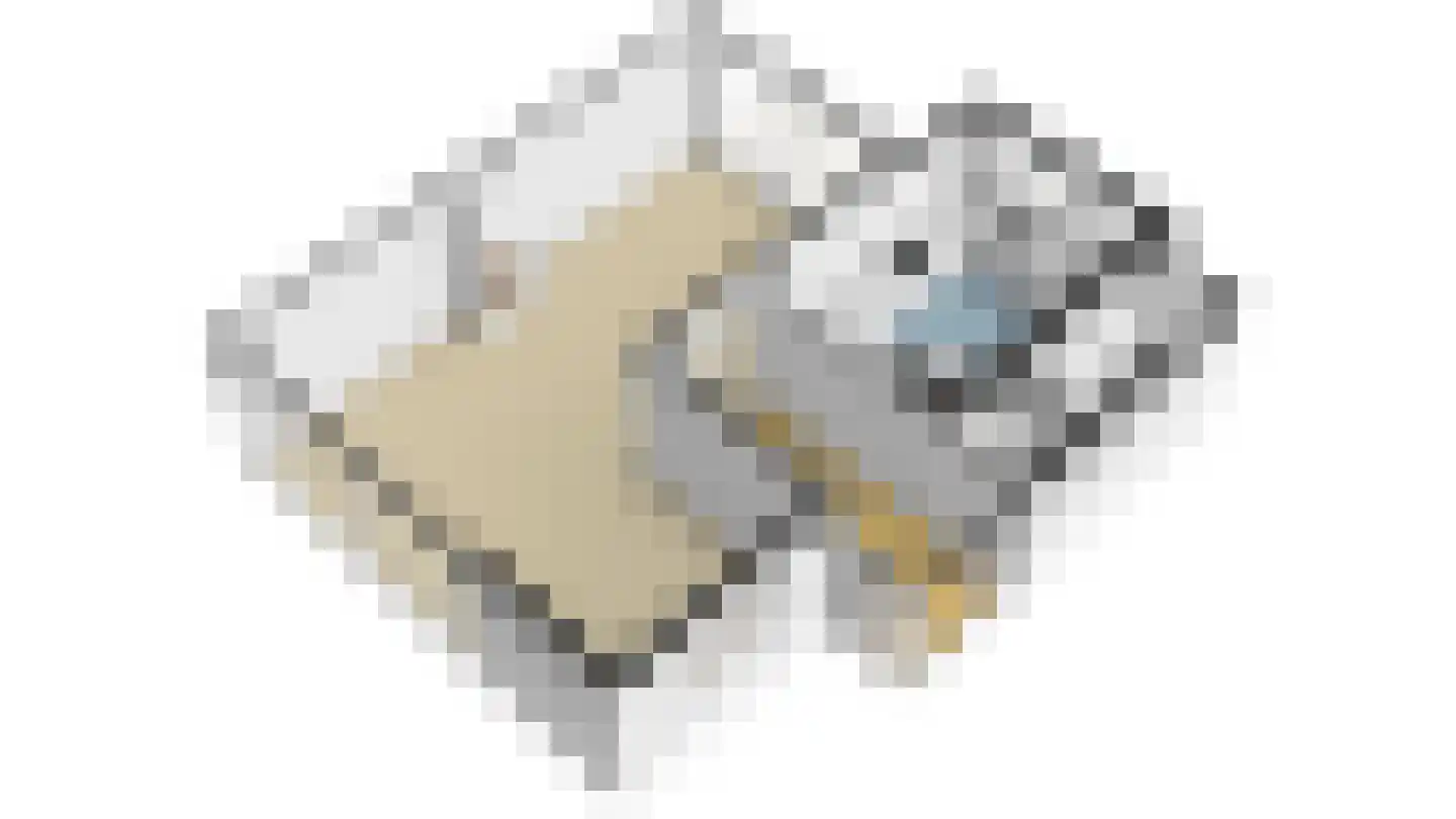 Laan van Spieringshoek 2 Schiedam thumbnail 41