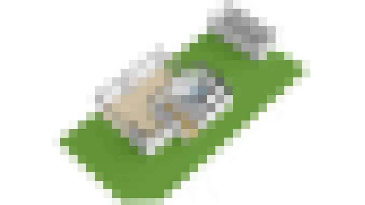 Laan van Spieringshoek 2 Schiedam thumbnail 43