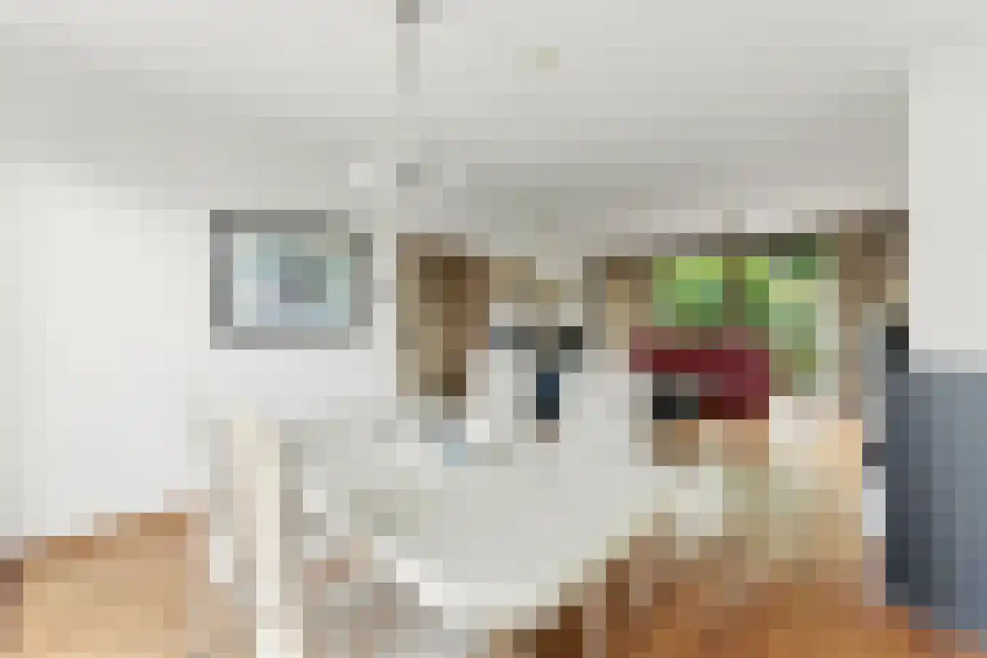 Laan van Spieringshoek 2 Schiedam thumbnail 7