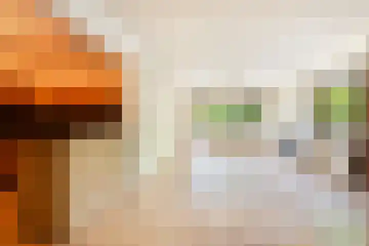 Laan van Spieringshoek 45 Schiedam thumbnail 12