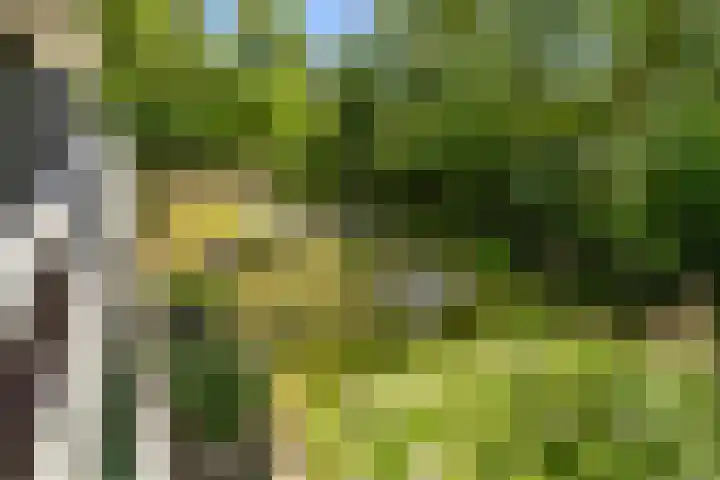 Laan van Spieringshoek 45 Schiedam thumbnail 21