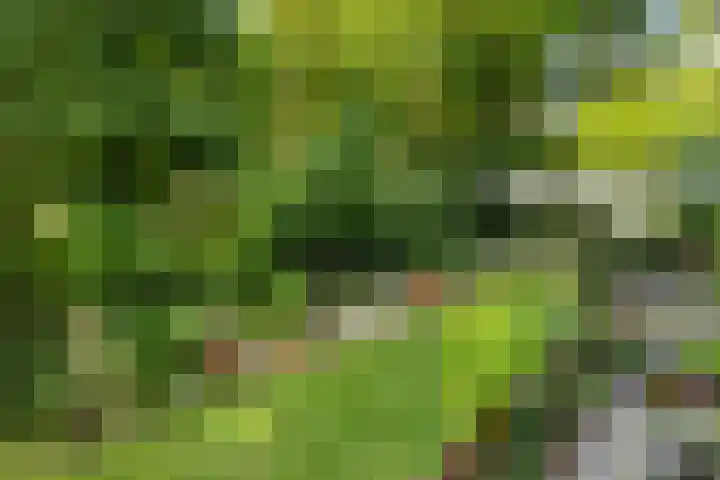 Laan van Spieringshoek 45 Schiedam thumbnail 35