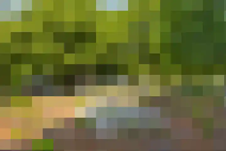 Laan van Spieringshoek 45 Schiedam thumbnail 37
