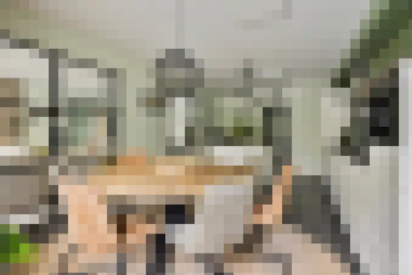 Laan van Spieringshoek 53 Schiedam thumbnail 11