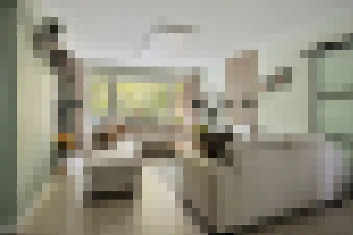 Laan van Spieringshoek 53 Schiedam thumbnail 15