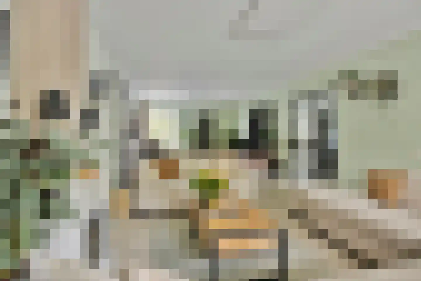 Laan van Spieringshoek 53 Schiedam thumbnail 17