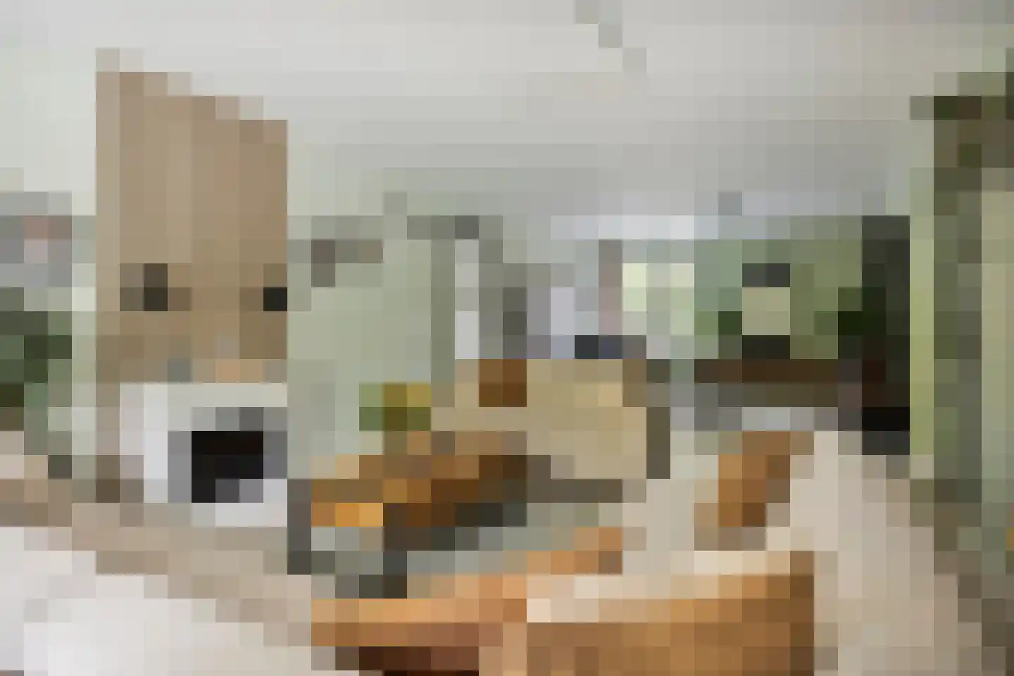Laan van Spieringshoek 53 Schiedam thumbnail 18