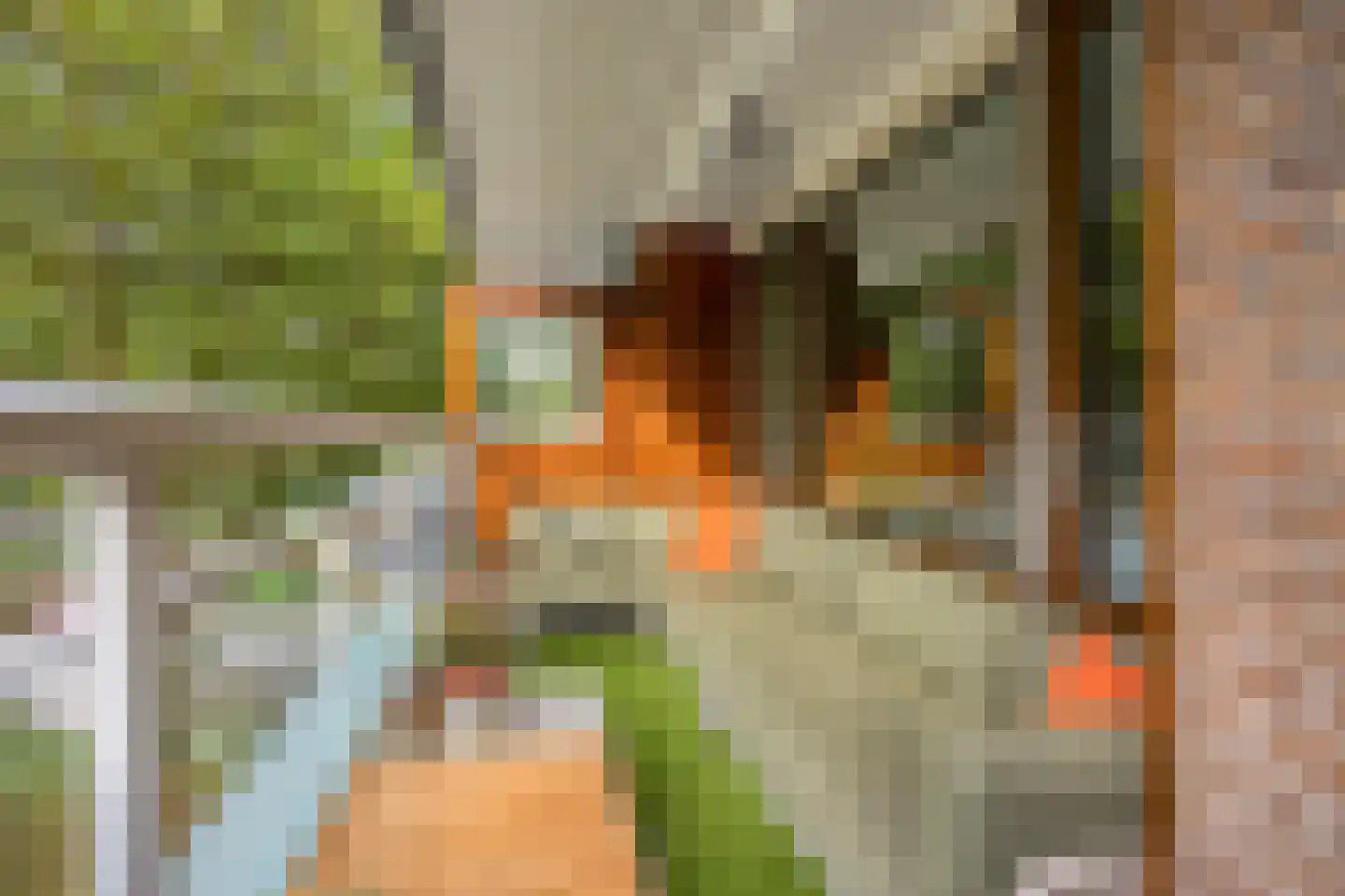 Laan van Spieringshoek 53 Schiedam thumbnail 21
