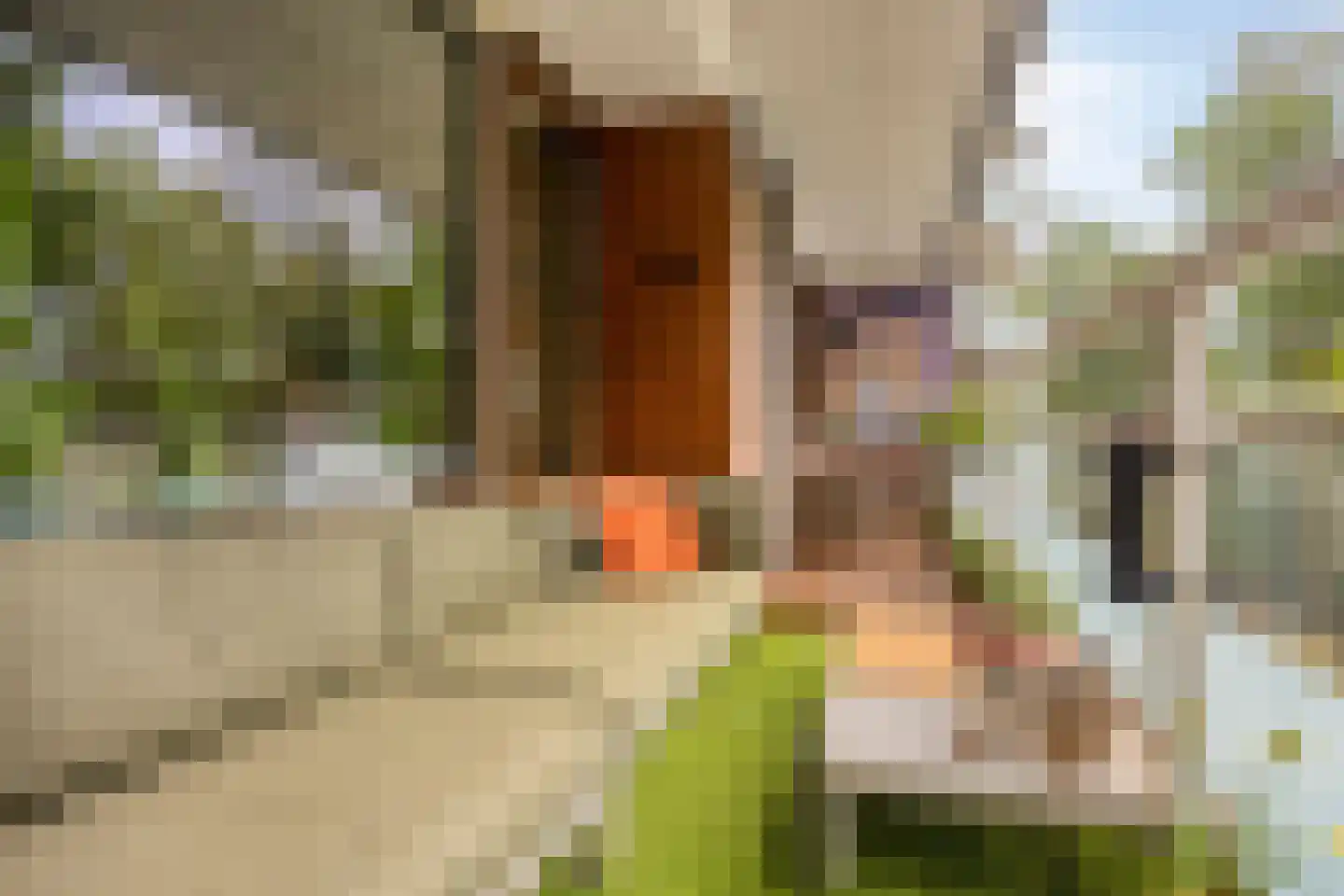 Laan van Spieringshoek 53 Schiedam thumbnail 22