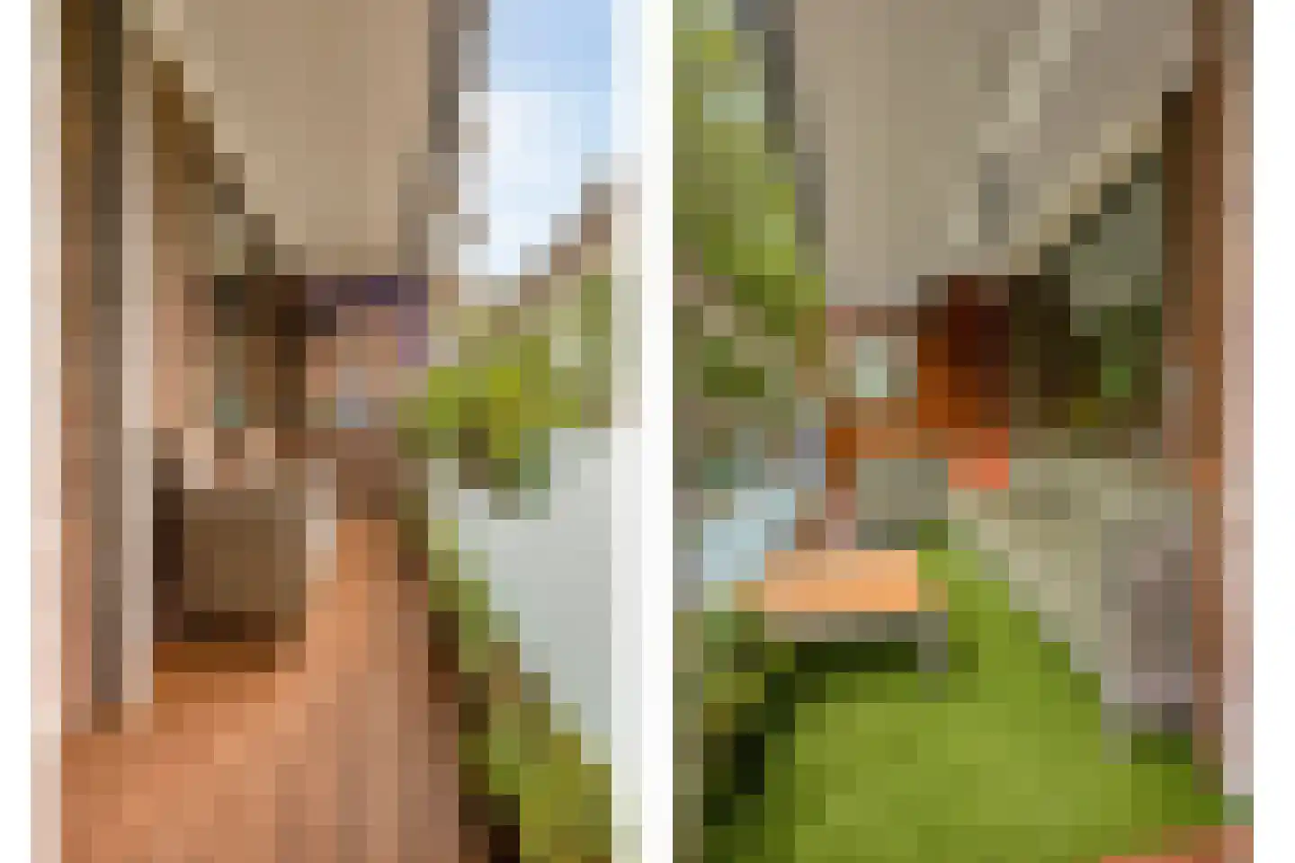 Laan van Spieringshoek 53 Schiedam thumbnail 23