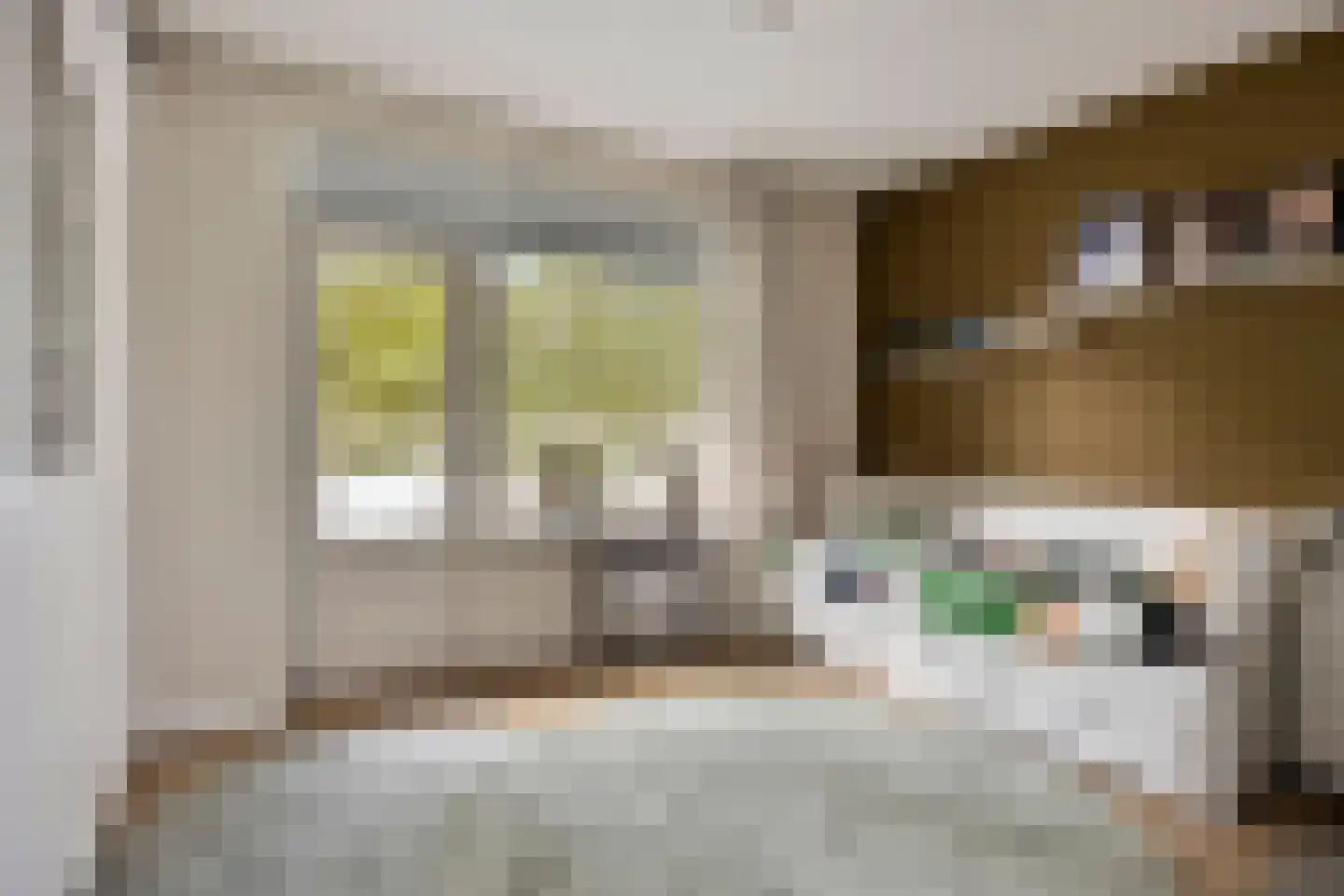Laan van Spieringshoek 53 Schiedam thumbnail 33