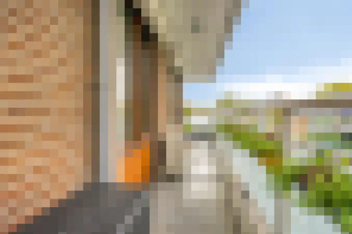 Laan van Spieringshoek 53 Schiedam thumbnail 35