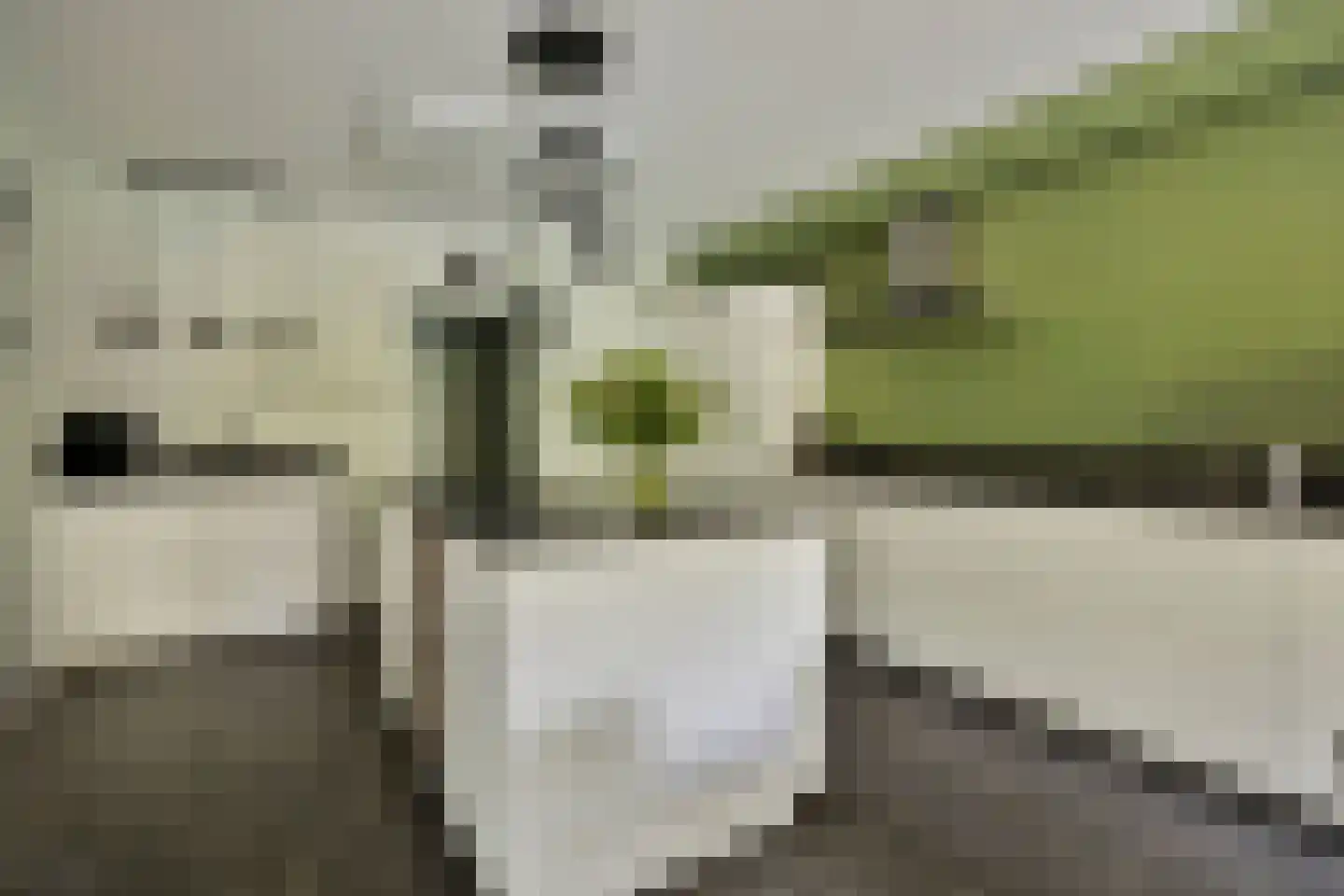 Laan van Spieringshoek 53 Schiedam thumbnail 4