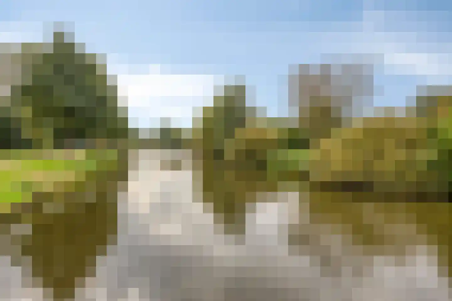 Laan van Spieringshoek 53 Schiedam thumbnail 47
