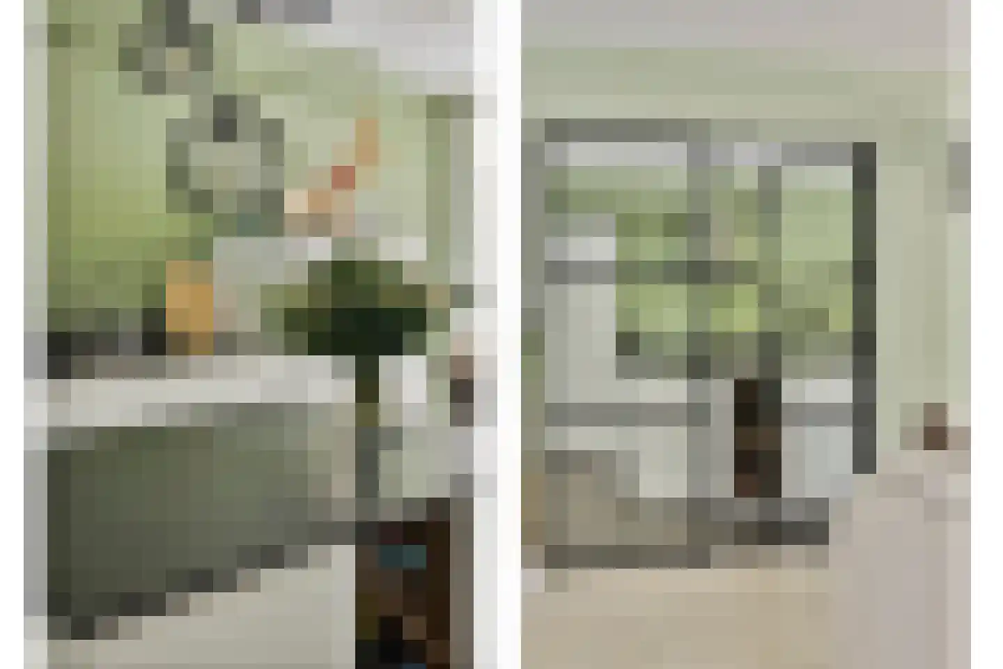 Laan van Spieringshoek 53 Schiedam thumbnail 6
